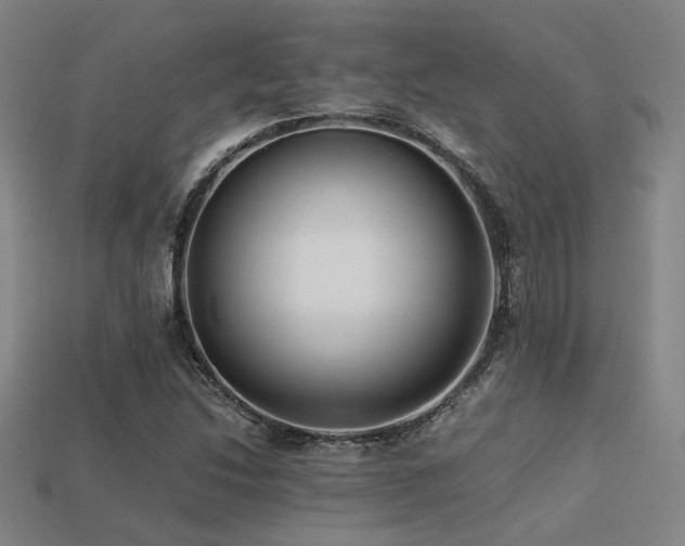 X0000113221214200909101143