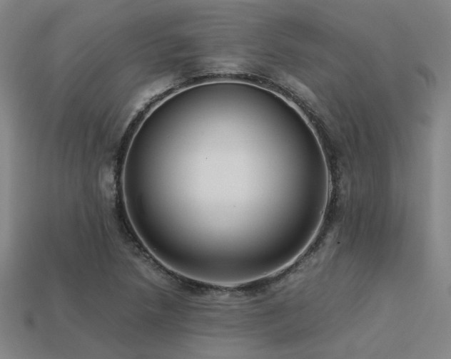 X0000113221218200909101143