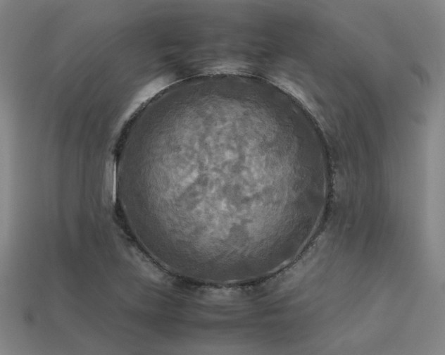 X0000113221219200909101143