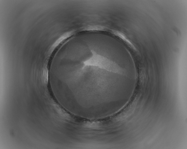 X0000113221221200909101143