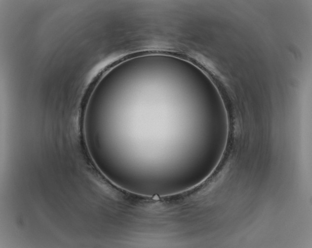 X0000113221222200909101143