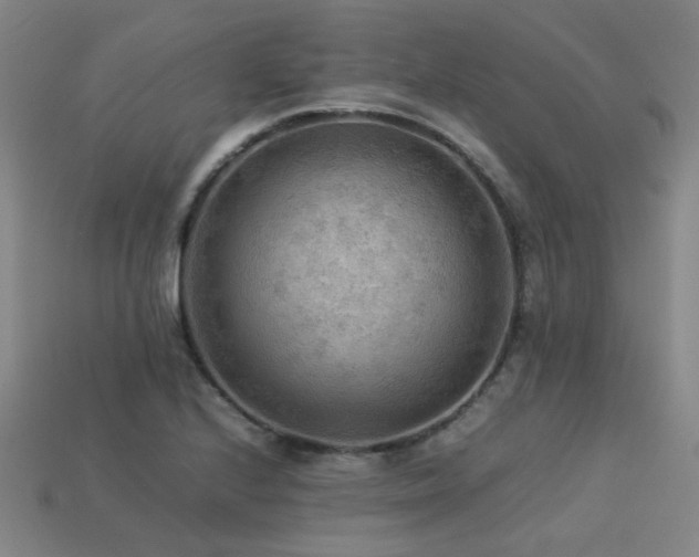X0000113221224200909101143