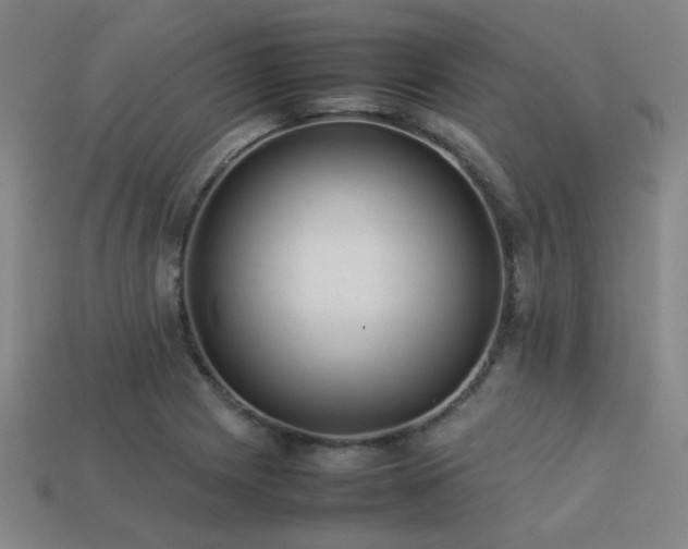X0000113221225200909101143