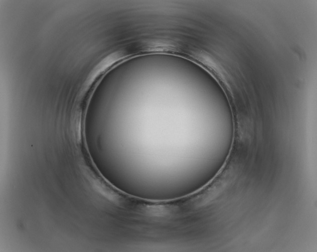 X0000113221227200909101143