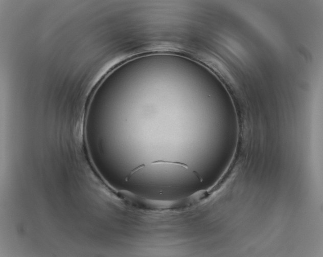 X0000113221228200909101143