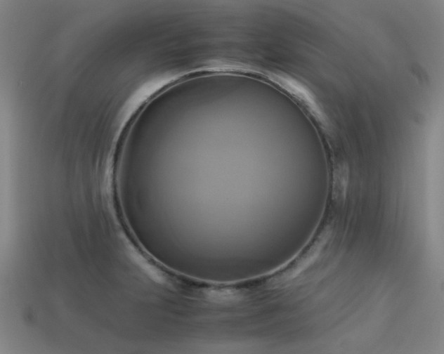 X0000113221231200909101143