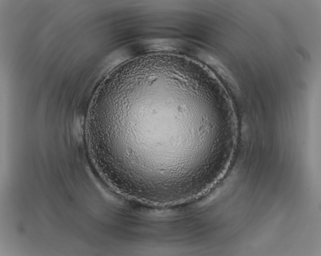 X0000113221233200909101143