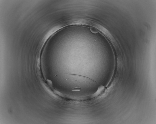 X0000113221234200909101143