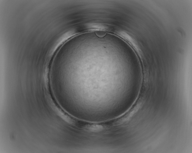 X0000113221235200909101143