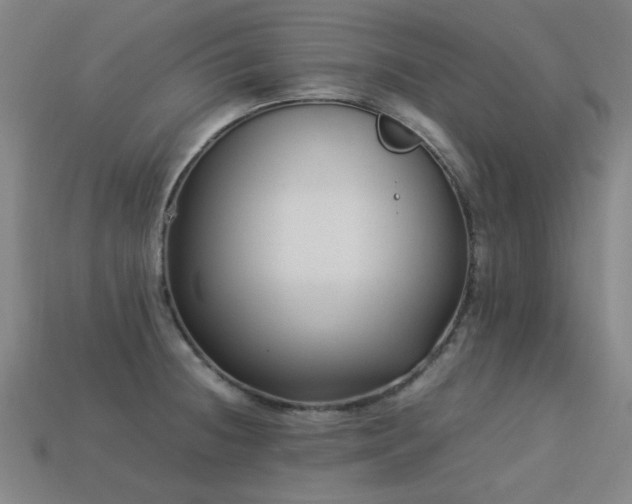 X0000113221236200909101143