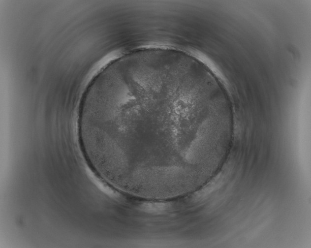 X0000113221237200909101143