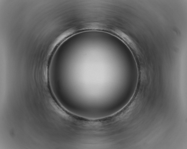 X0000113221238200909101143