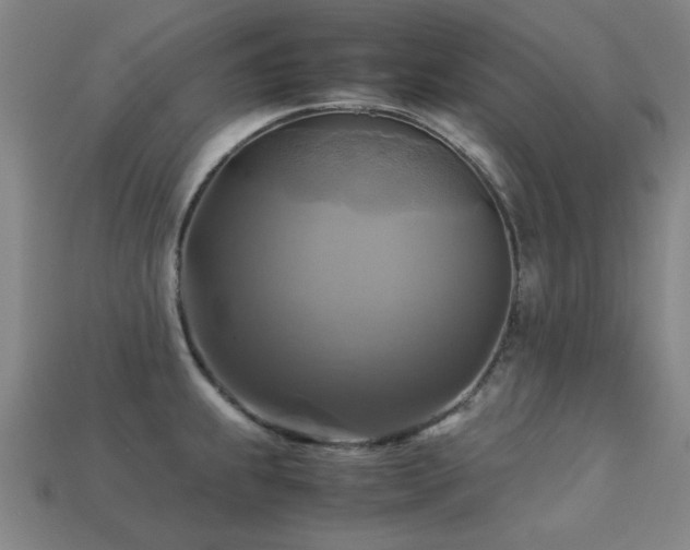 X0000113221239200909101143