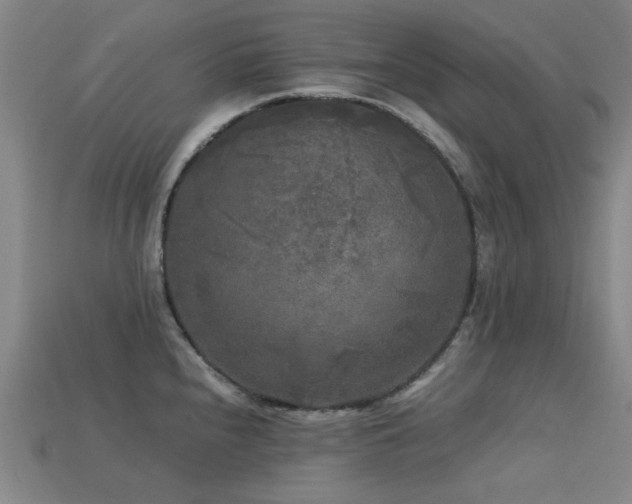 X0000113221240200909101143