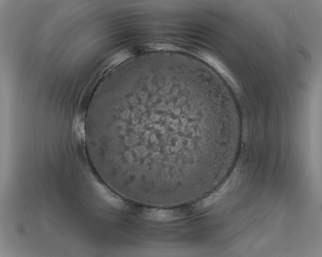 X0000113221241200909101143
