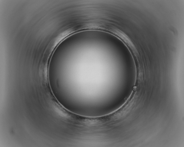 X0000113221242200909101143