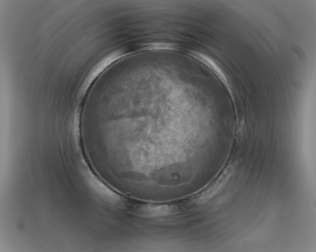X0000113221243200909101143