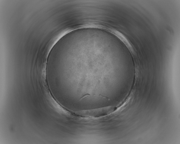 X0000113221244200909101143