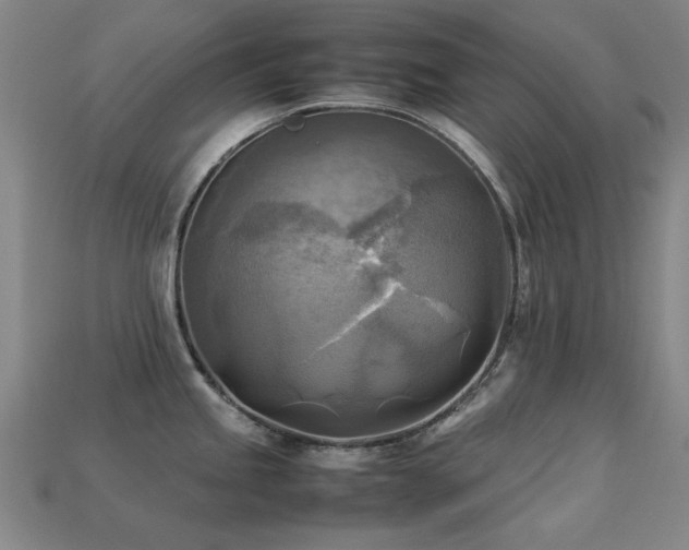 X0000113221245200909101143