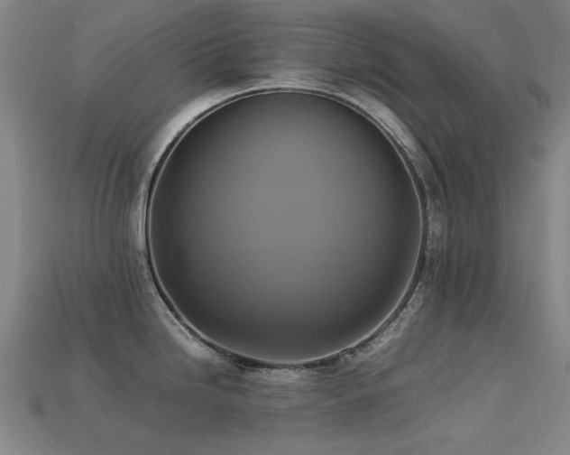 X0000113221246200909101143