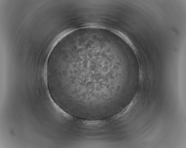 X0000113221247200909101143