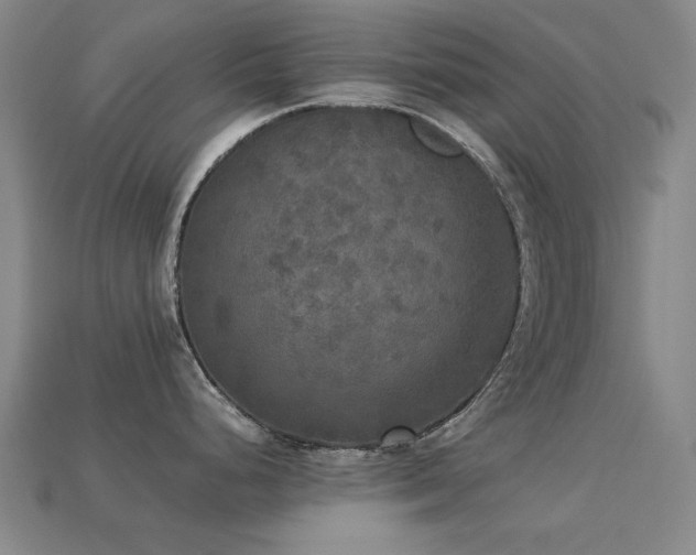 X0000113221248200909101143