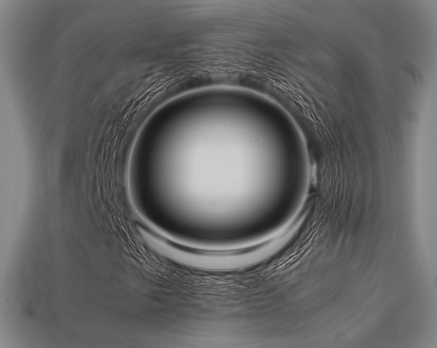 X0000113221249200909101143