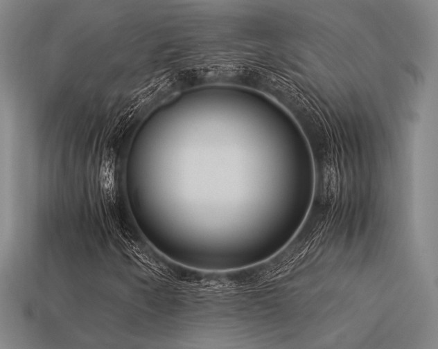 X0000113221250200909101143