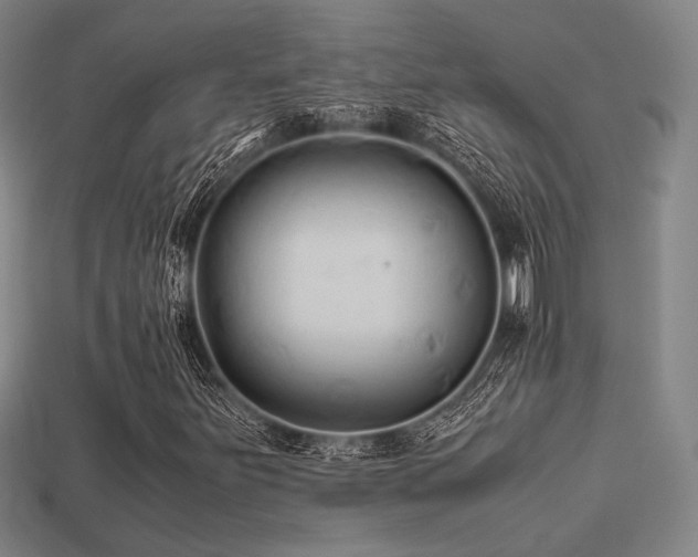 X0000113221251200909101143
