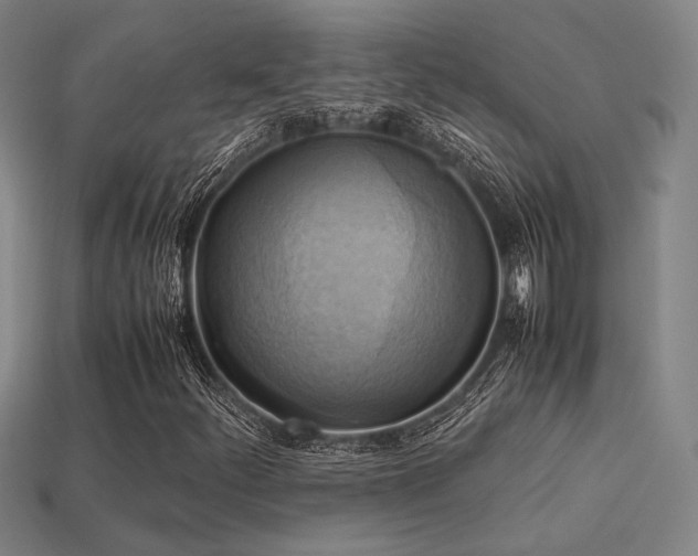 X0000113221252200909101143