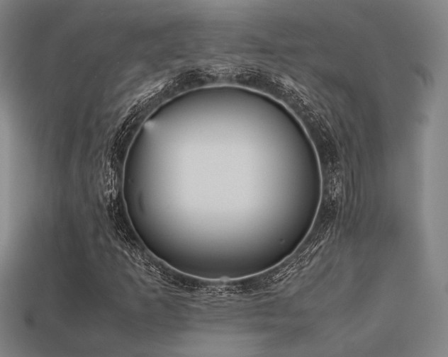 X0000113221253200909101143