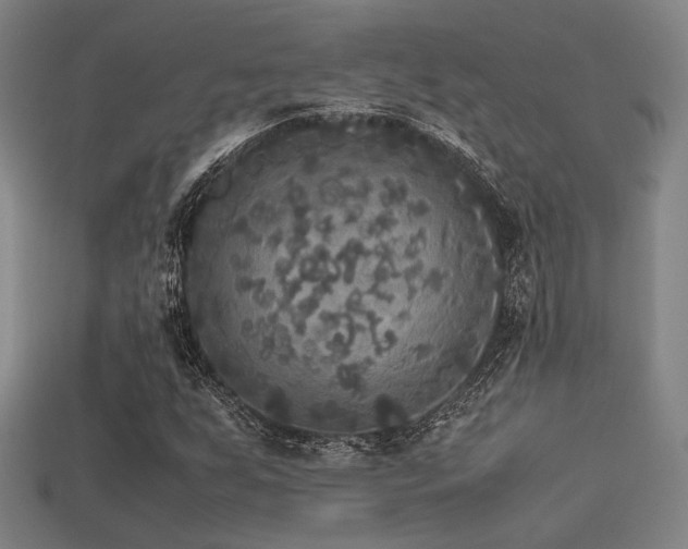X0000113221255200909101143