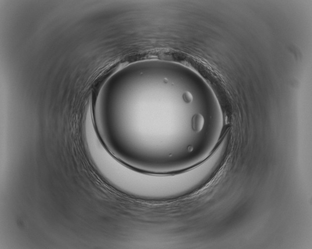X0000113221257200909101143