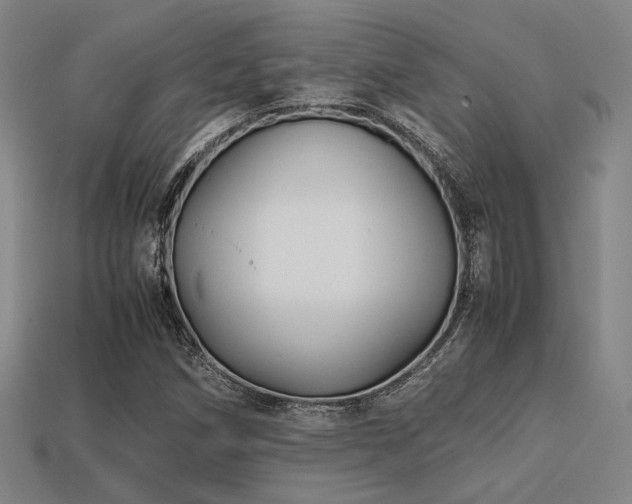 X0000113221258200909101143