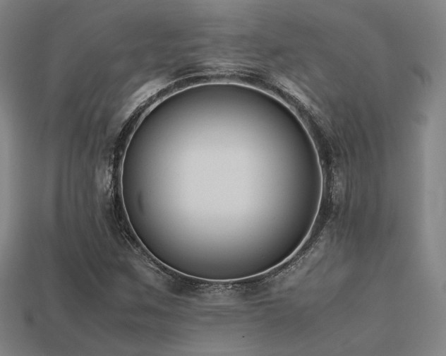 X0000113221259200909101143