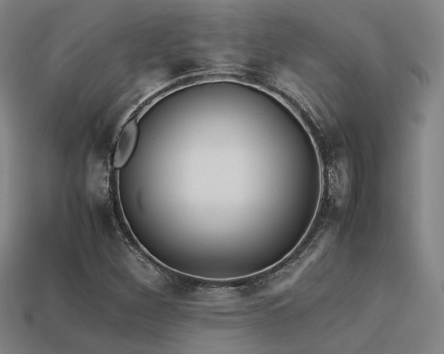 X0000113221260200909101143