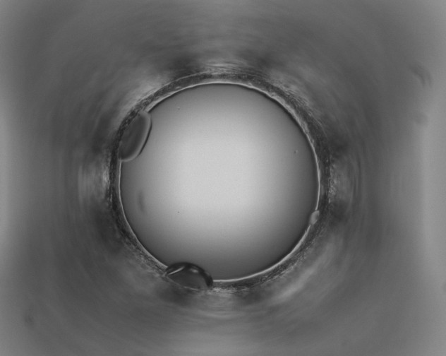 X0000113221261200909101143