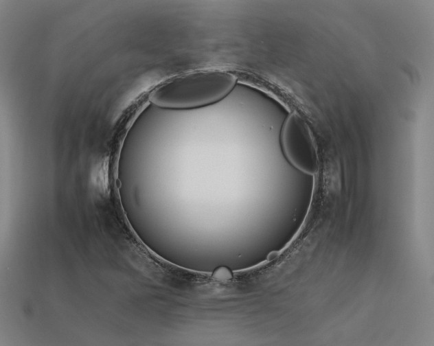 X0000113221262200909101143