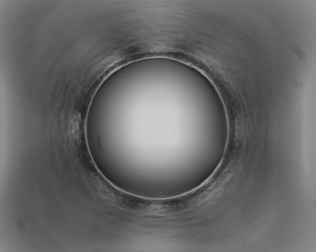 X0000113221265200909101143