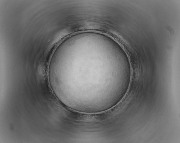X0000113221266200909101143