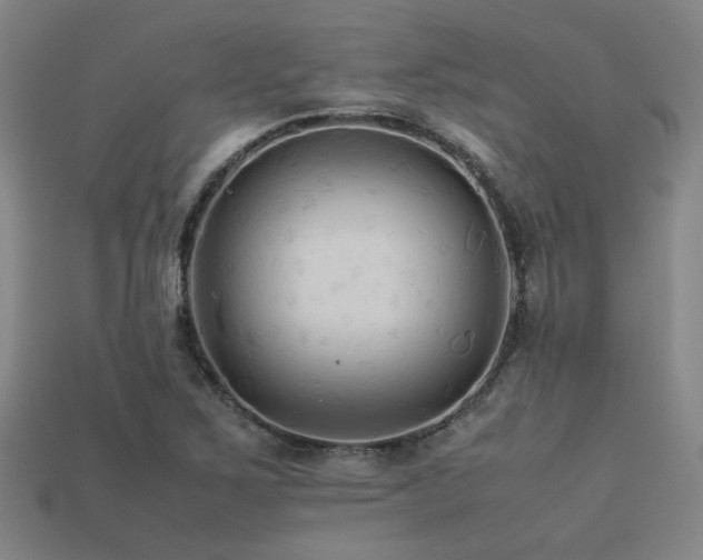 X0000113221267200909101143