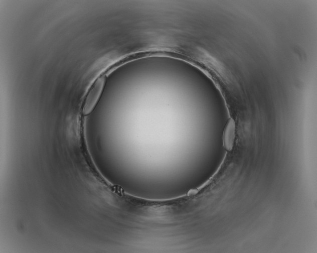 X0000113221268200909101143