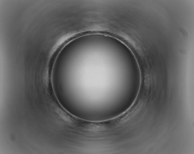 X0000113221270200909101143