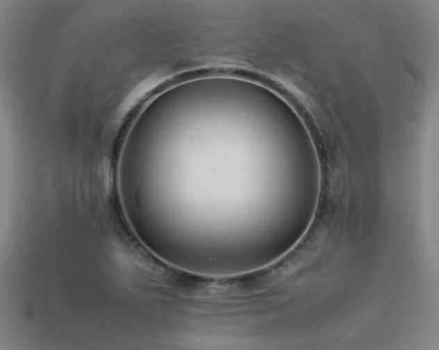 X0000113221271200909101143
