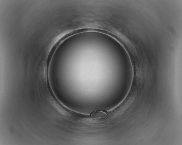 X0000113221272200909101143