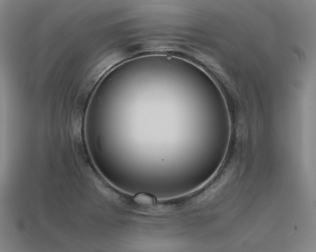 X0000113221273200909101143