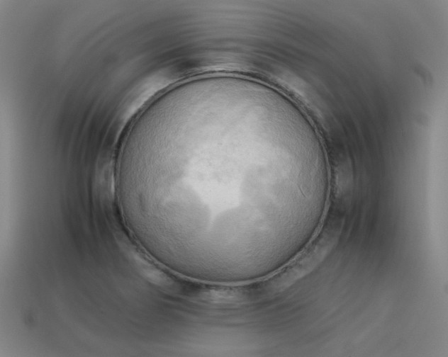 X0000113221274200909101143