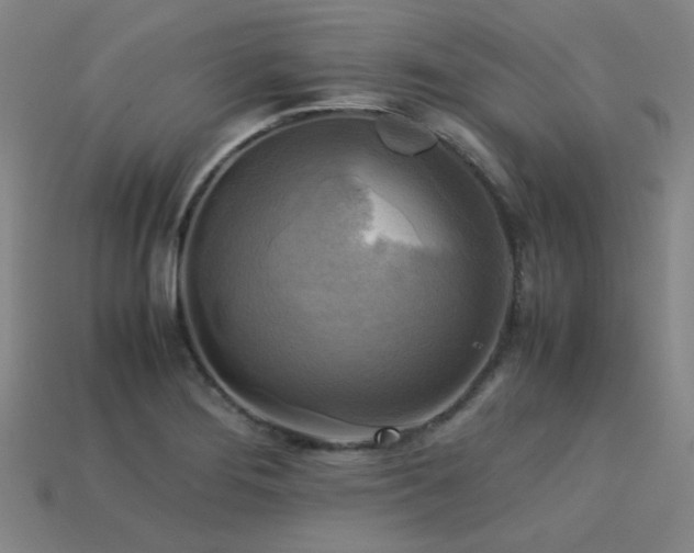 X0000113221276200909101143
