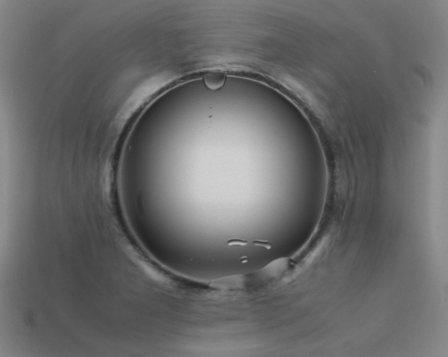 X0000113221277200909101142