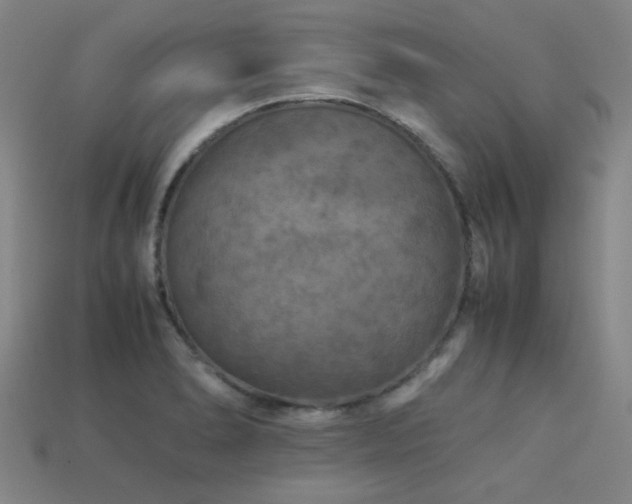 X0000113221278200909101142